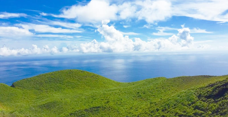三宅島 島コンツアー 2026