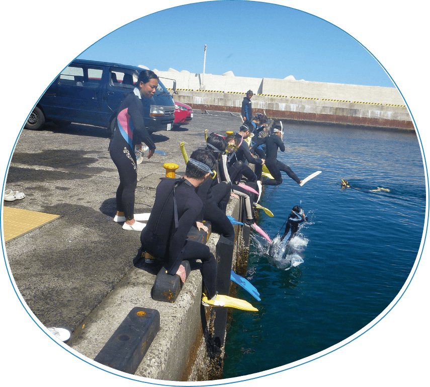 ドルフィンスイムスクール