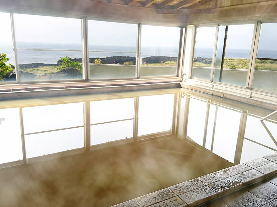 東京の島・三宅島から行くドルフィンスイム情報