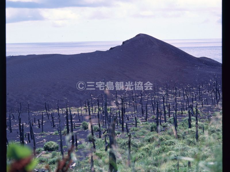 【1983（昭和58）年噴火】 新鼻新山