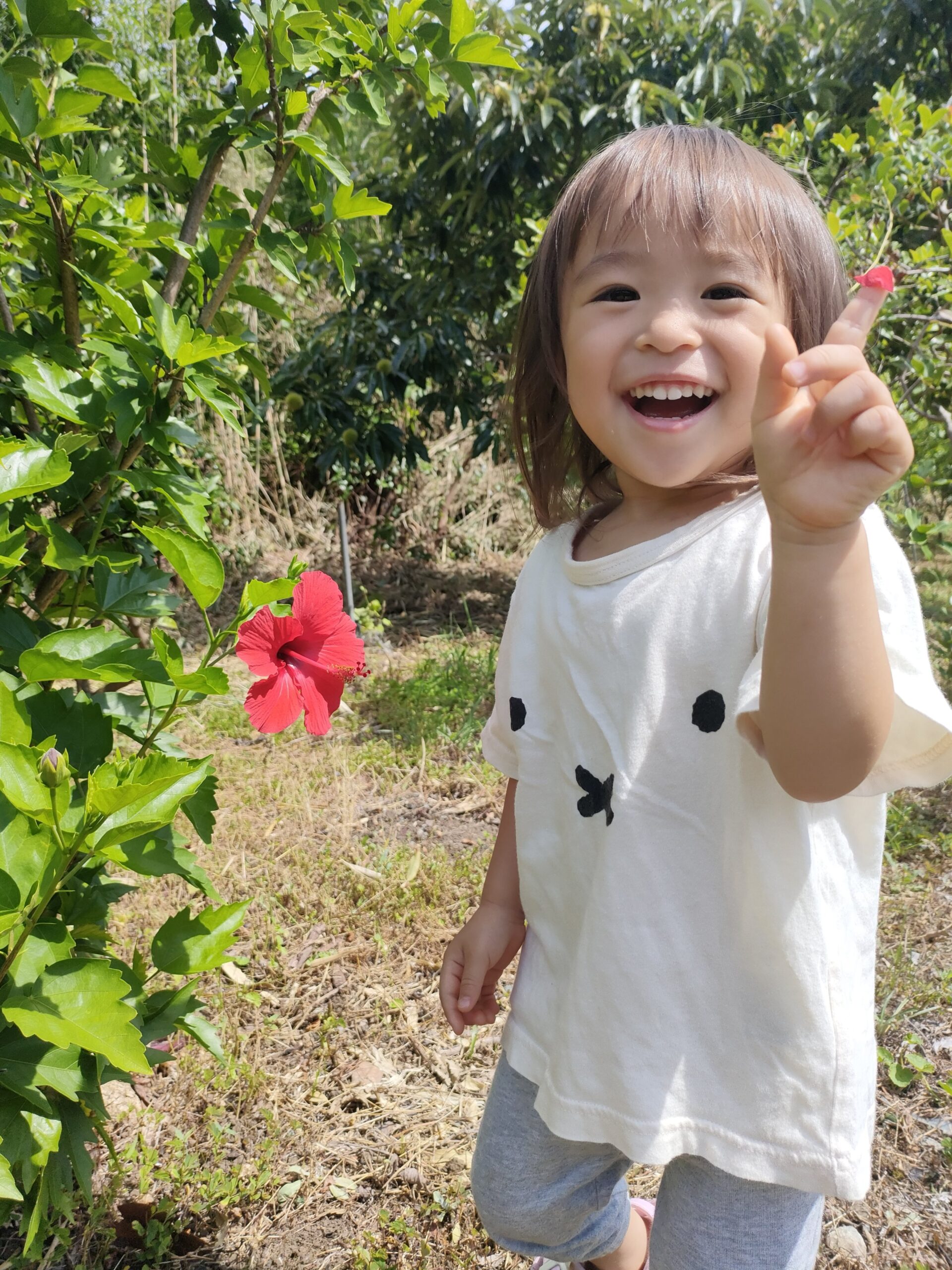 フォトコンテスト2024 受賞作品発表！！：お知らせ：三宅島観光協会