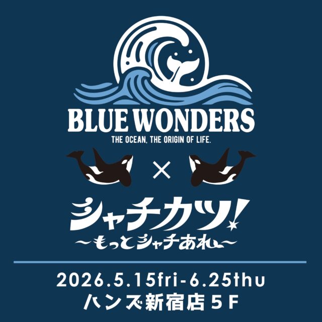 Blue Wonders meets シャチカツ