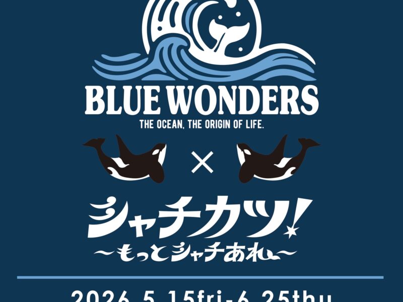 Blue Wonders meets シャチカツ